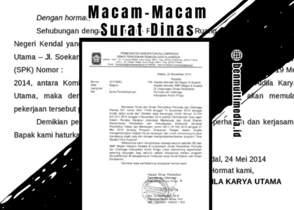 Contoh Surat Dinas Pemberitahuan