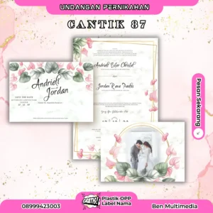 Cetak Blangko Undangan Cantik 87